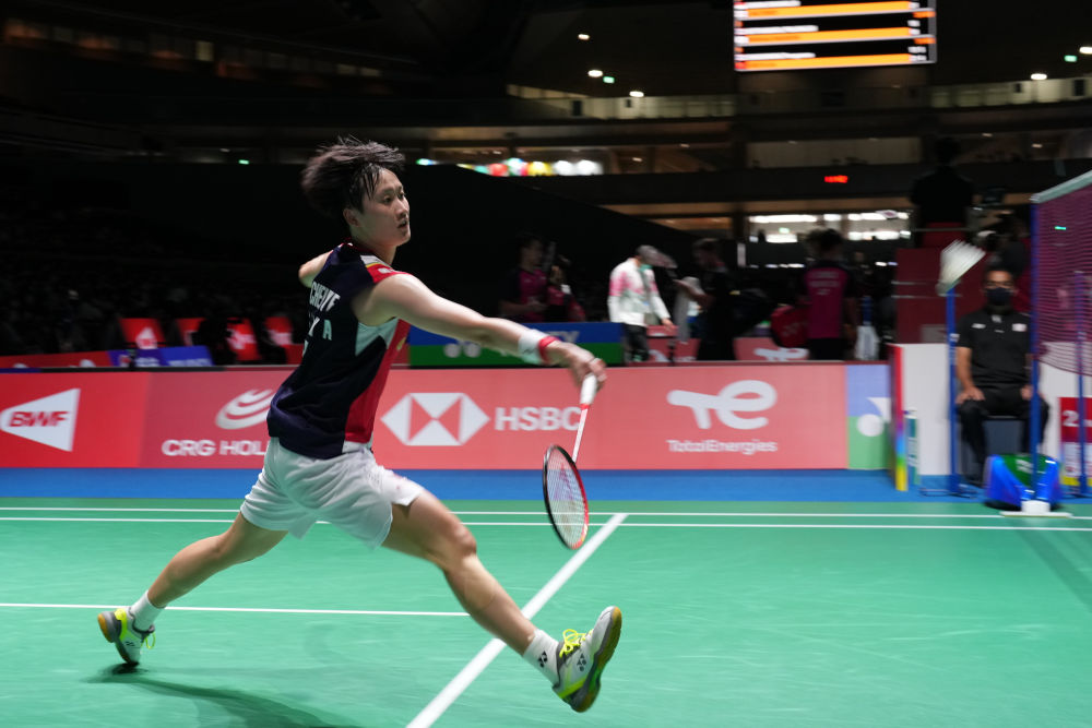 奠定了坚实 奠定了坚实